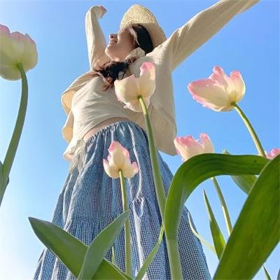 六扇门之御前盗圣