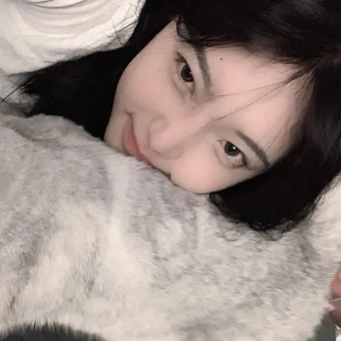 Go！Go！小小车向前冲第一季